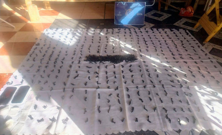 Operativo policial en González Catán