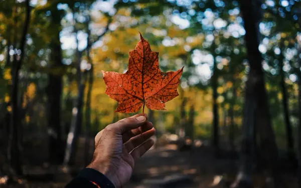 Oportunidades laborales internacionales: Las provincias canadienses con mayor potencial para profesionales