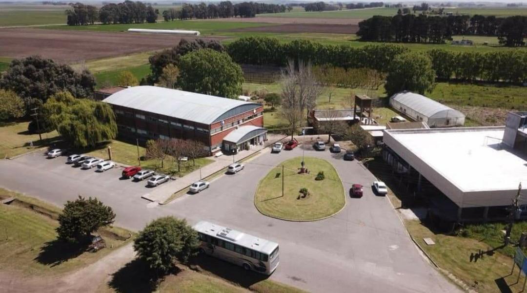 La Facultad de Ciencias Agrarias de la UNMDP se destaca a nivel mundial en el Ranking QS 2026