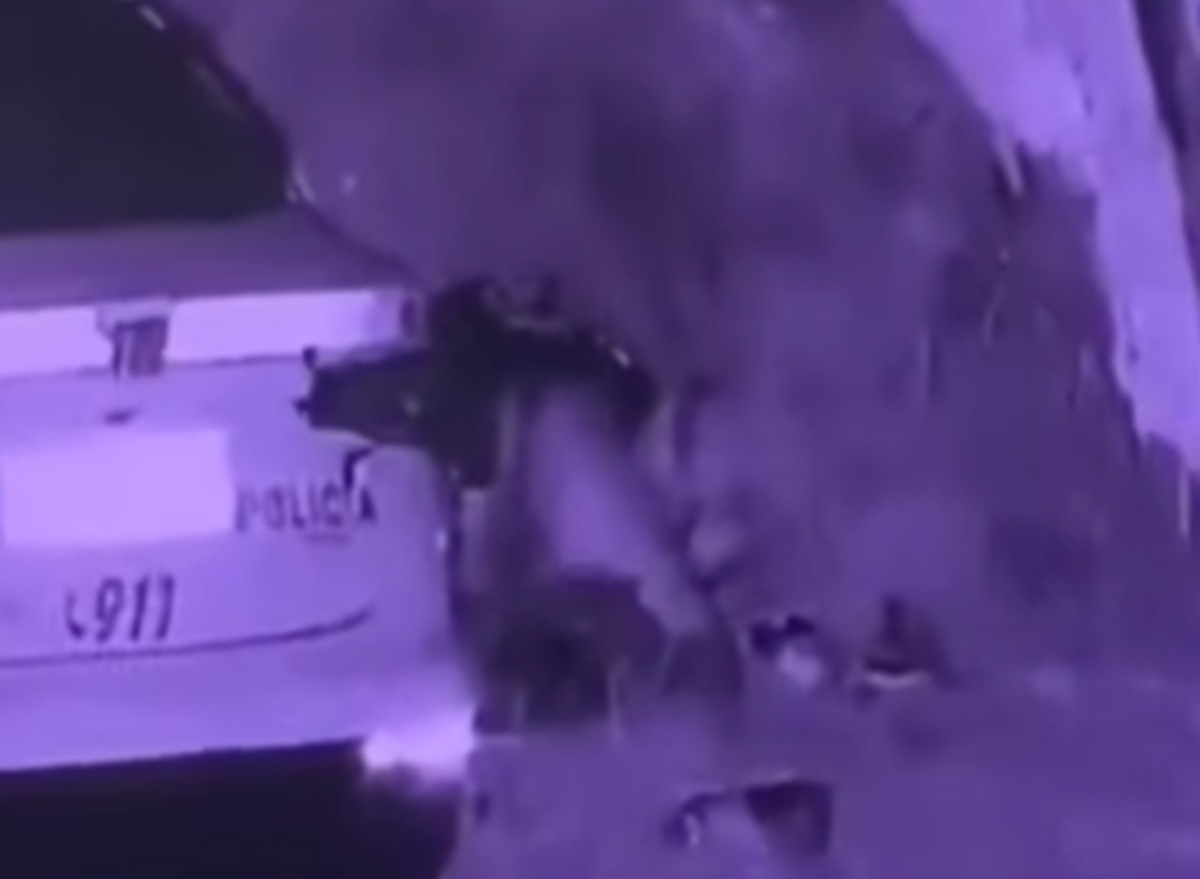 Efectivo de la Policía de Cañuelas desafectado tras videos que comprometen el uso del patrullero