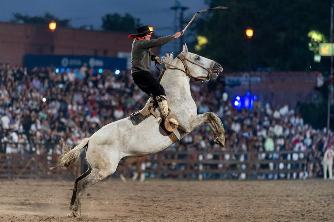 Buscan ley nacional para proteger y regular la jineteada como Patrimonio Cultural