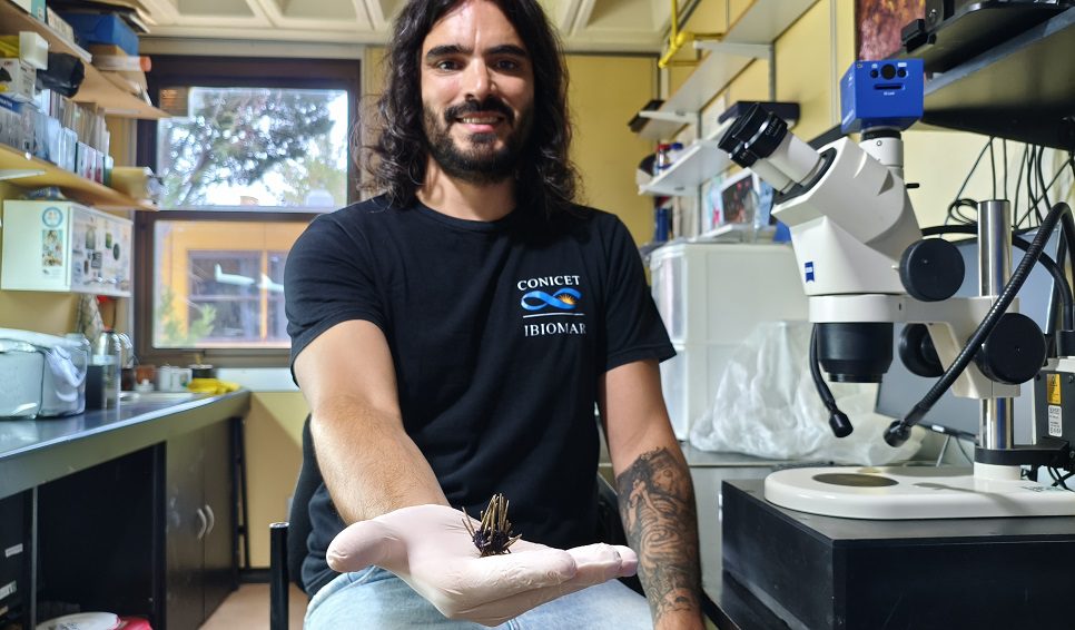 Descubren nueva especie marina en el cañón submarino de Mar del Plata