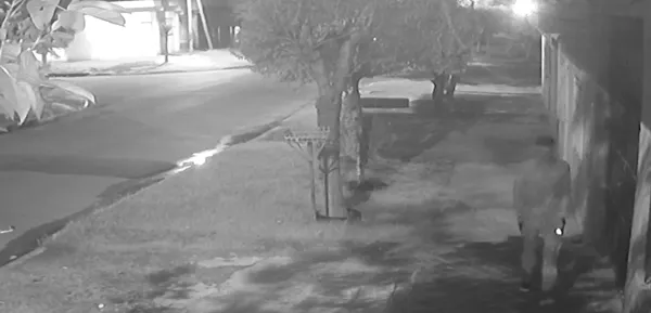 Repudio en La Matanza por la violenta entradera a jubilada en González Catán