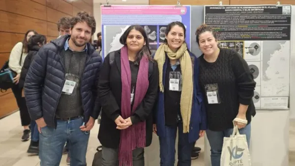 Nueva especie marina descubierta por científicos de Mar del Plata y reconocida internacionalmente