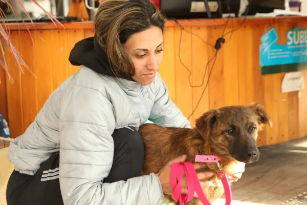 La Plata promueve salud animal con jornadas gratuitas en City Bell