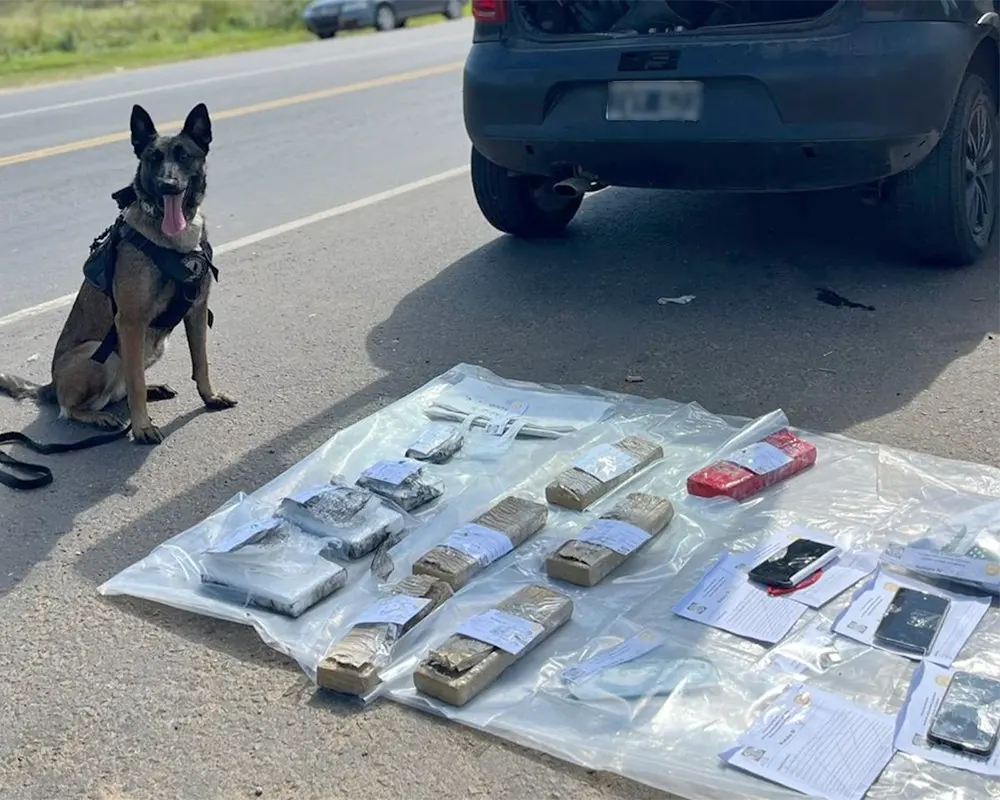 El can Mali junto con los elementos incautados.